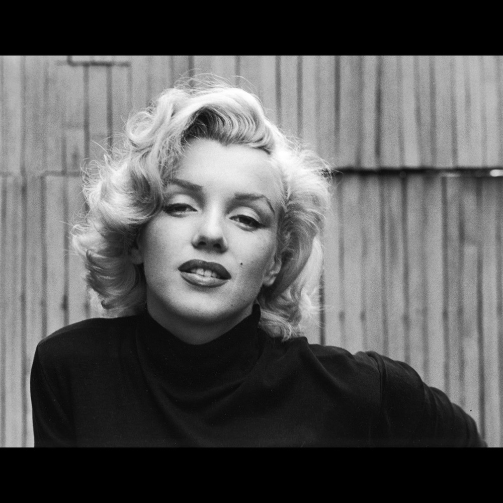 Meet your Posher, Luz